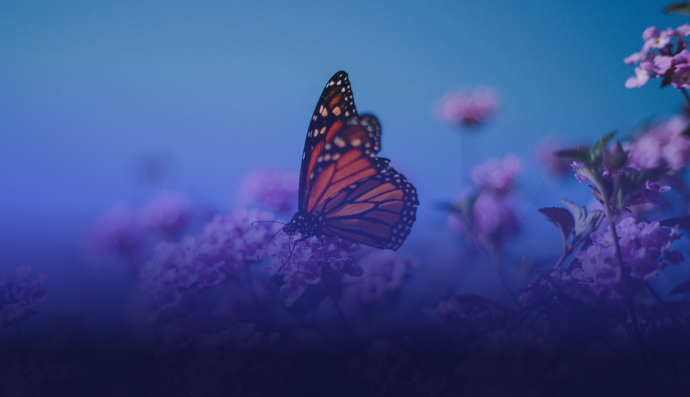 service-digital_transformation_hubspot-image