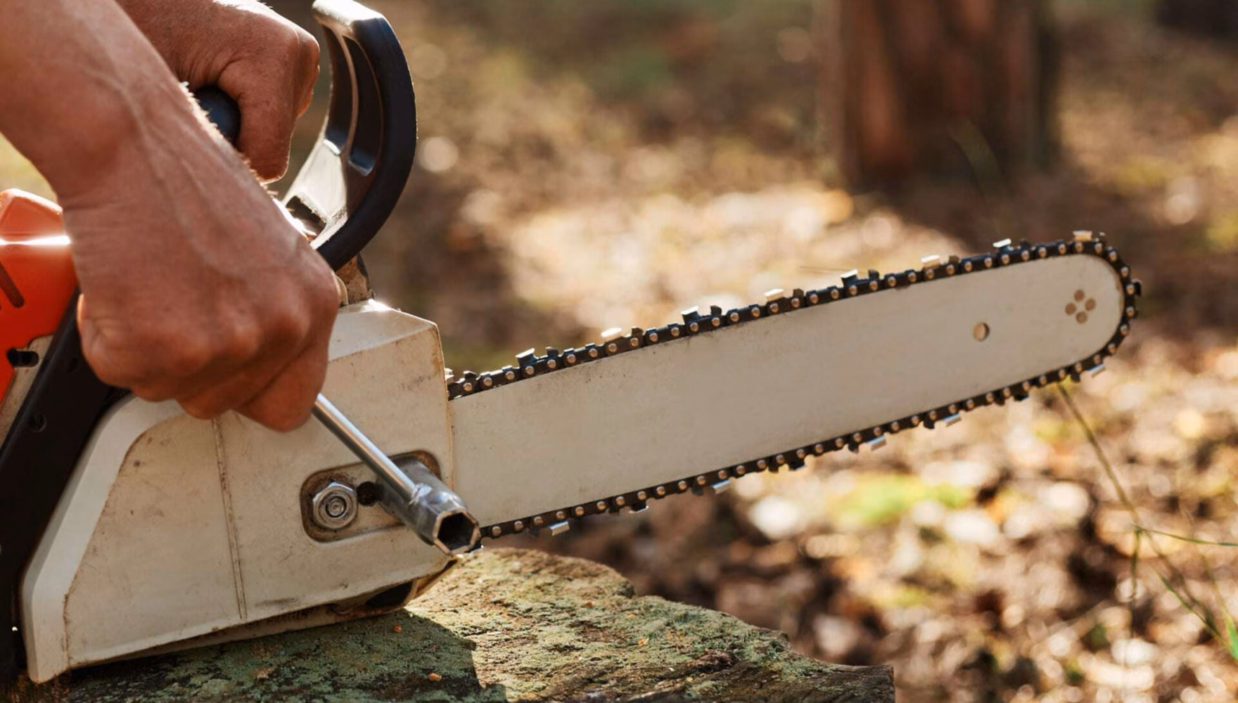 Two hands adjust the chain of a chainsaw resting on a mossy tree stump in the forest.
