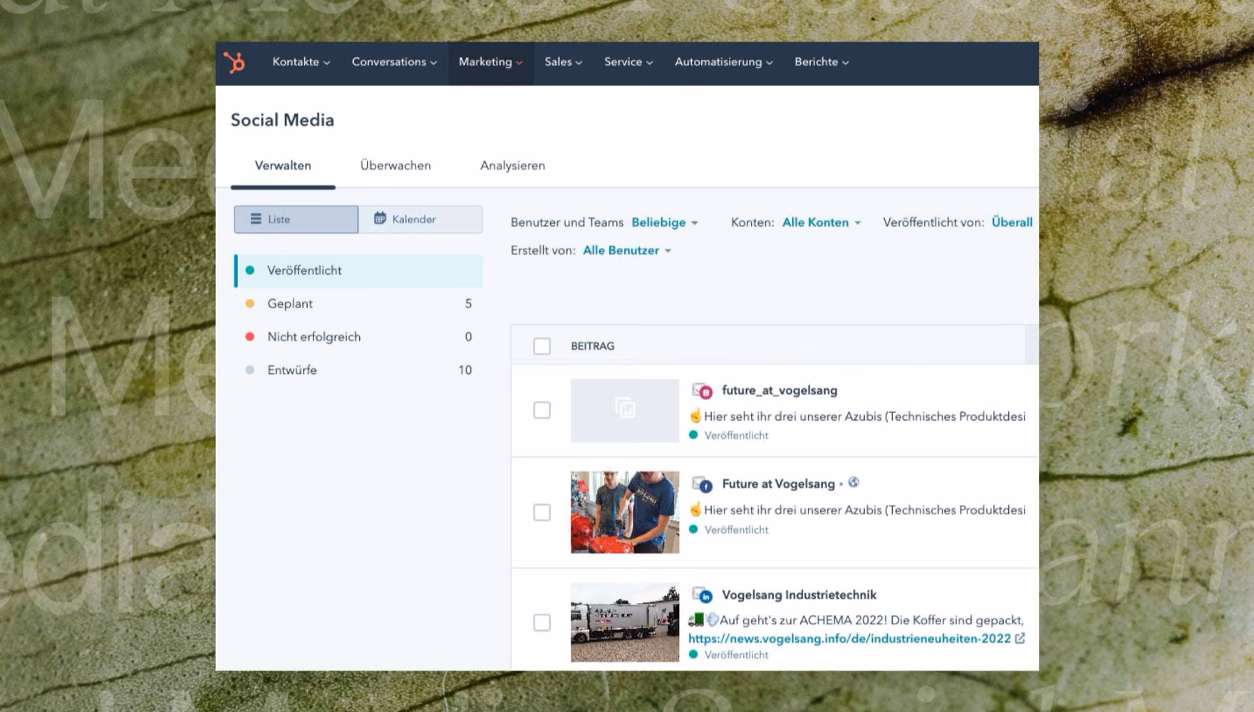 A marketing platform's social media screen listing published Vogelsang posts, with counts for published, scheduled and draft items down the left.