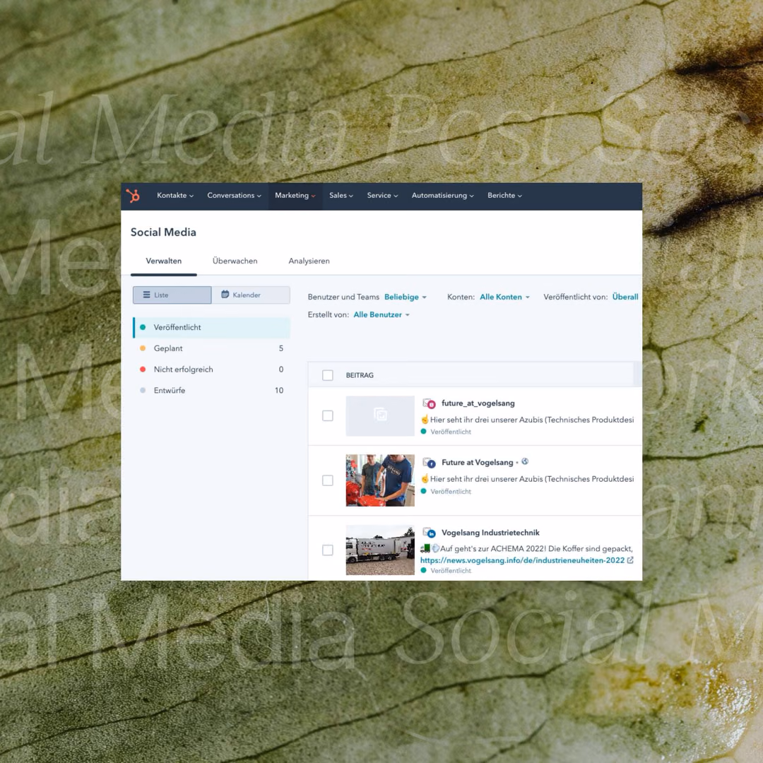 A marketing platform's social media screen listing published Vogelsang posts, with counts for published, scheduled and draft items down the left.